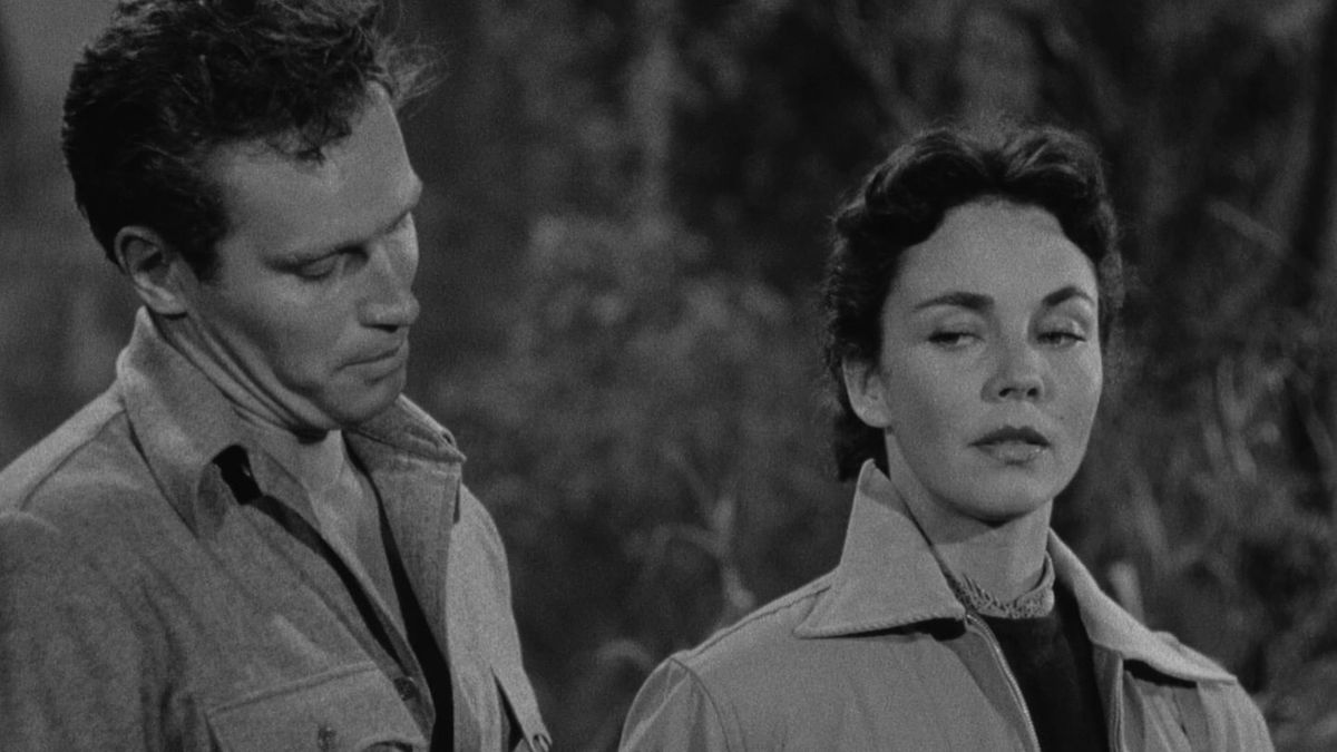 ‎Ruby Gentry (1952) directed by King Vidor • Reviews, film + cast ...