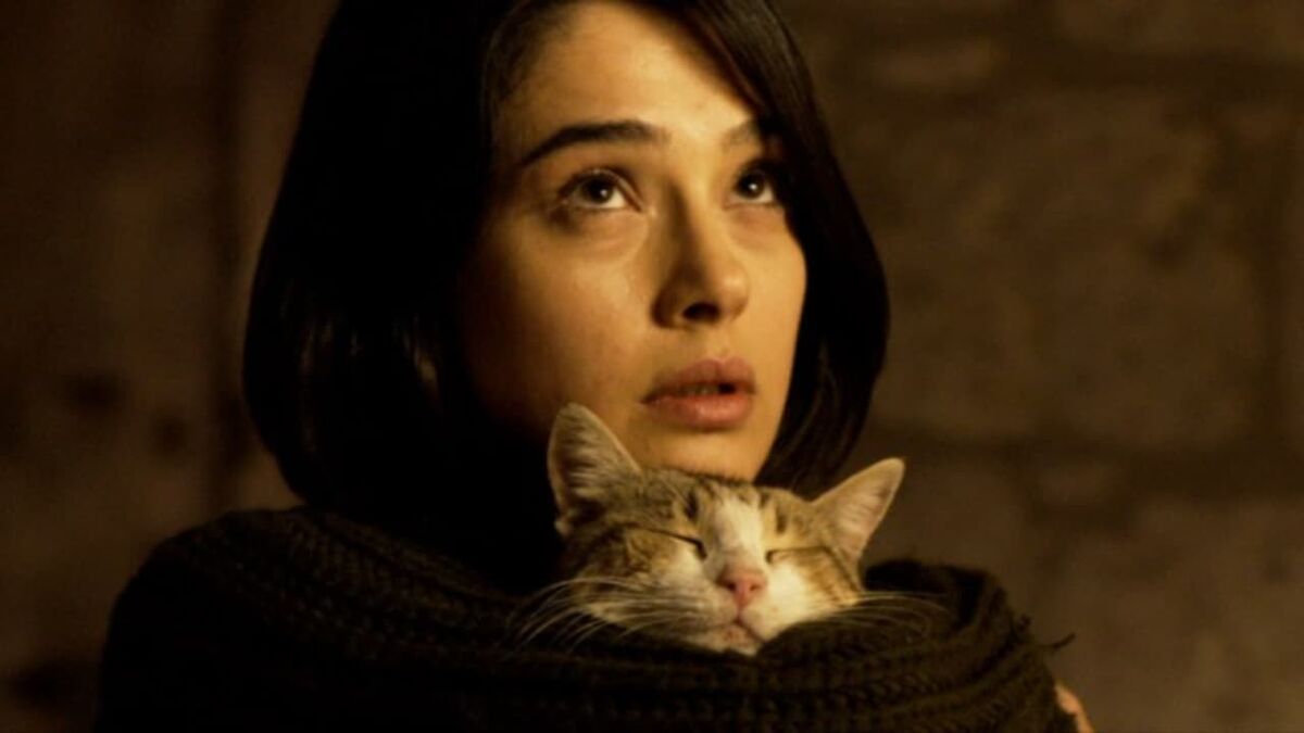 ‎Clair Obscur (2016) directed by Yeşim Ustaoğlu • Reviews, film + cast ...