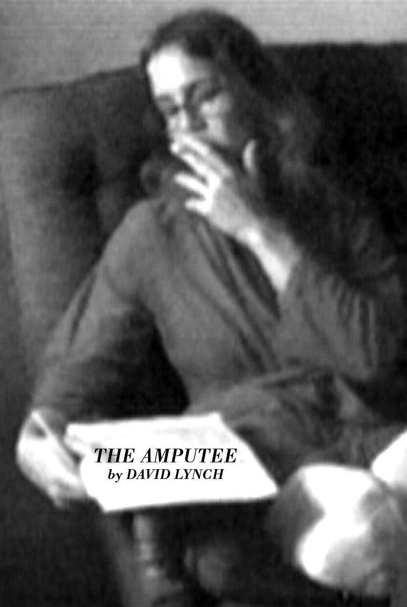The Amputee poster