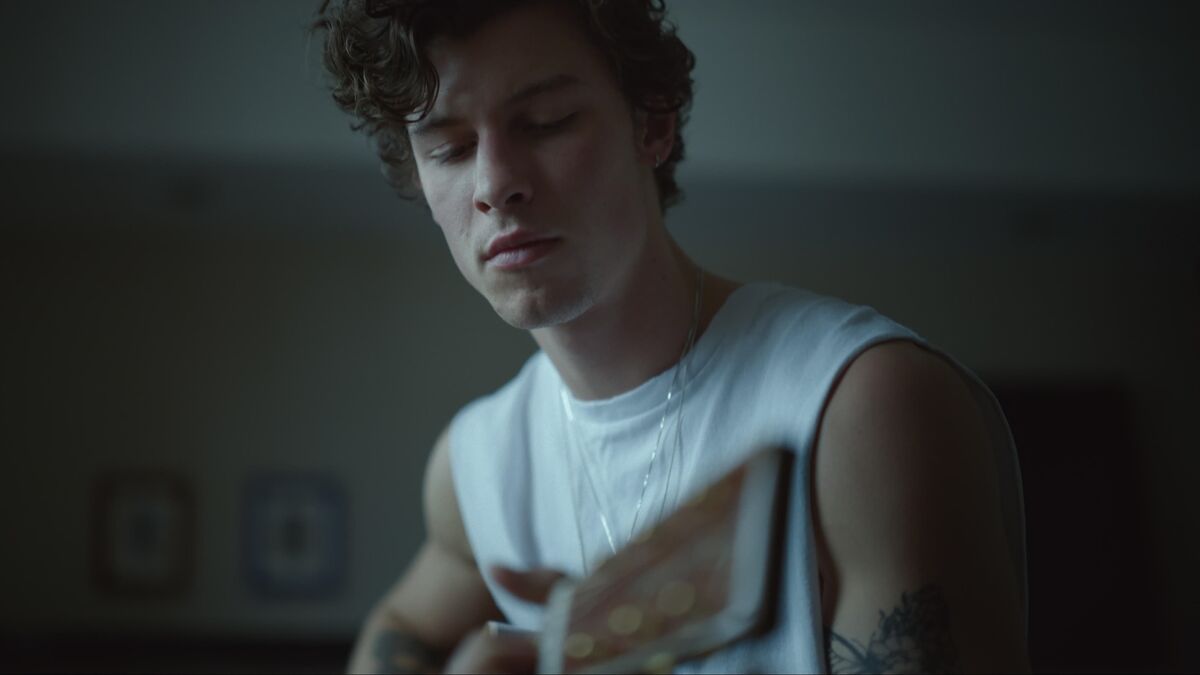 ‎shawn mendes' movies, a list of films by olivia 🧸🍊 • Letterboxd