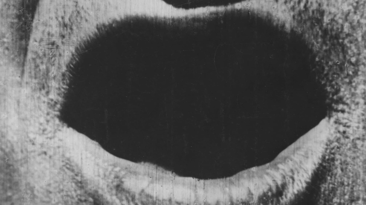 ‎The Big Swallow (1901) directed by James Williamson • Reviews, film