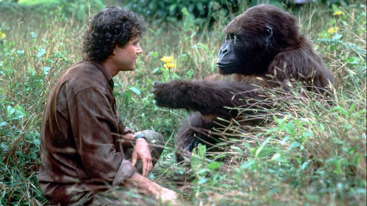Congo Film Streaming Vf