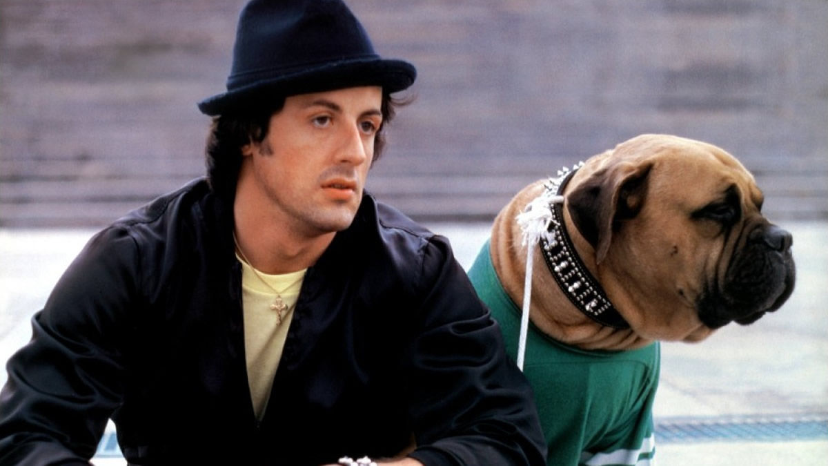 Rocky II (1979) directed by Sylvester Stallone • Reviews, film + cast • Letterboxd