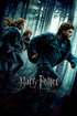 Harry Potter and the Deathly Hallows: Part 1 poster