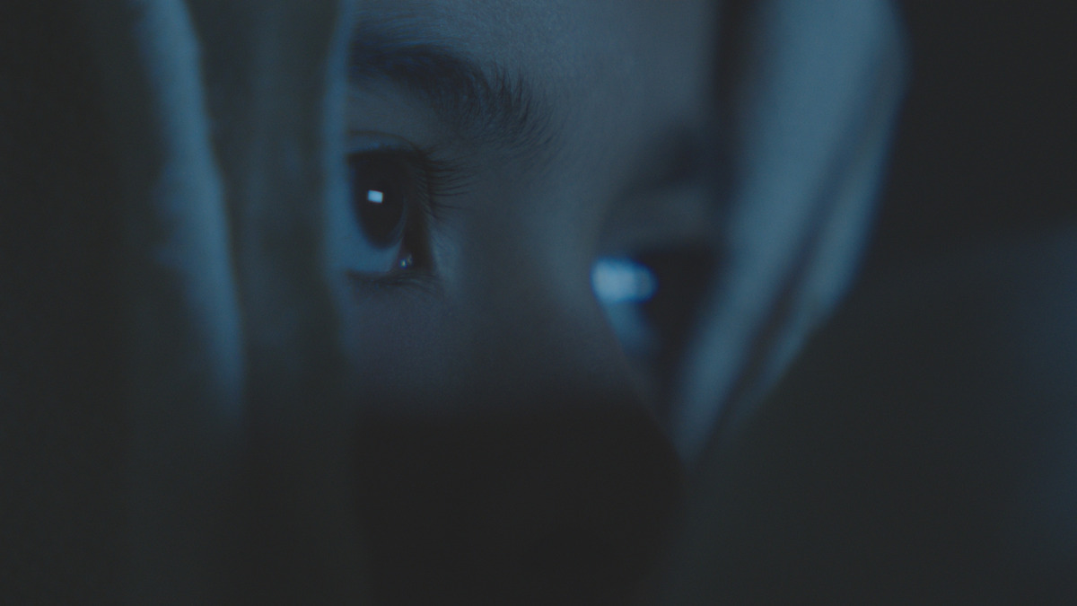 ‎The Father's Shadow (2018) directed by Gabriela Amaral Almeida ...