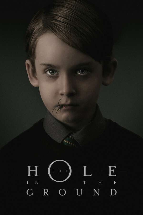 Poster for The Hole in the Ground, 2019 - ★★