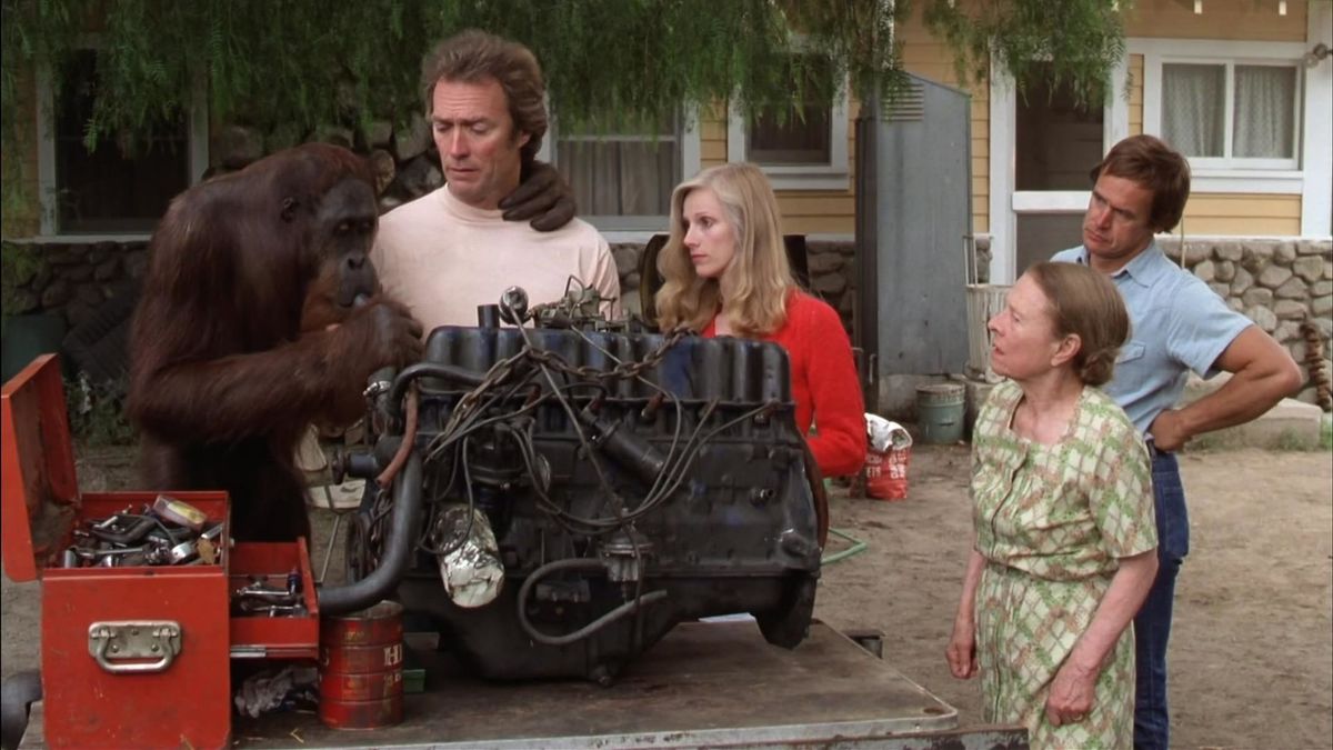 Any Which Way You Can Rewatched By Terry Grant Letterboxd Any which way you can rewatched by terry grant letterboxd