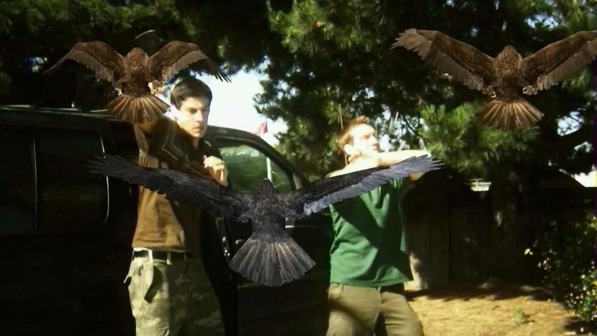 19. Birdemic: Shock and Terror 2010