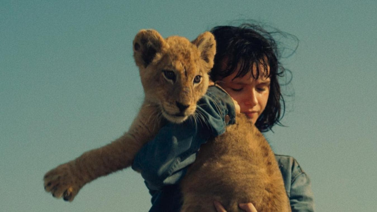 King (2022) directed by David Moreau • Reviews, film + cast • Letterboxd