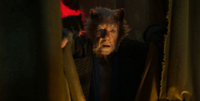 This theater cat found himself in one of 2019’s most notorious films.