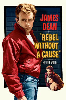 Rebel Without a Cause (1955)
