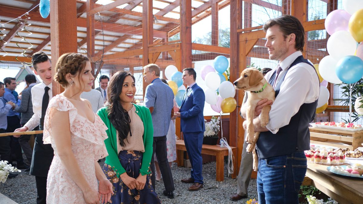 ‎Love Unleashed (2019) directed by Christie Will • Reviews, film + cast • Letterboxd