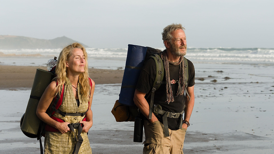 books like the salt path - the salt path summary