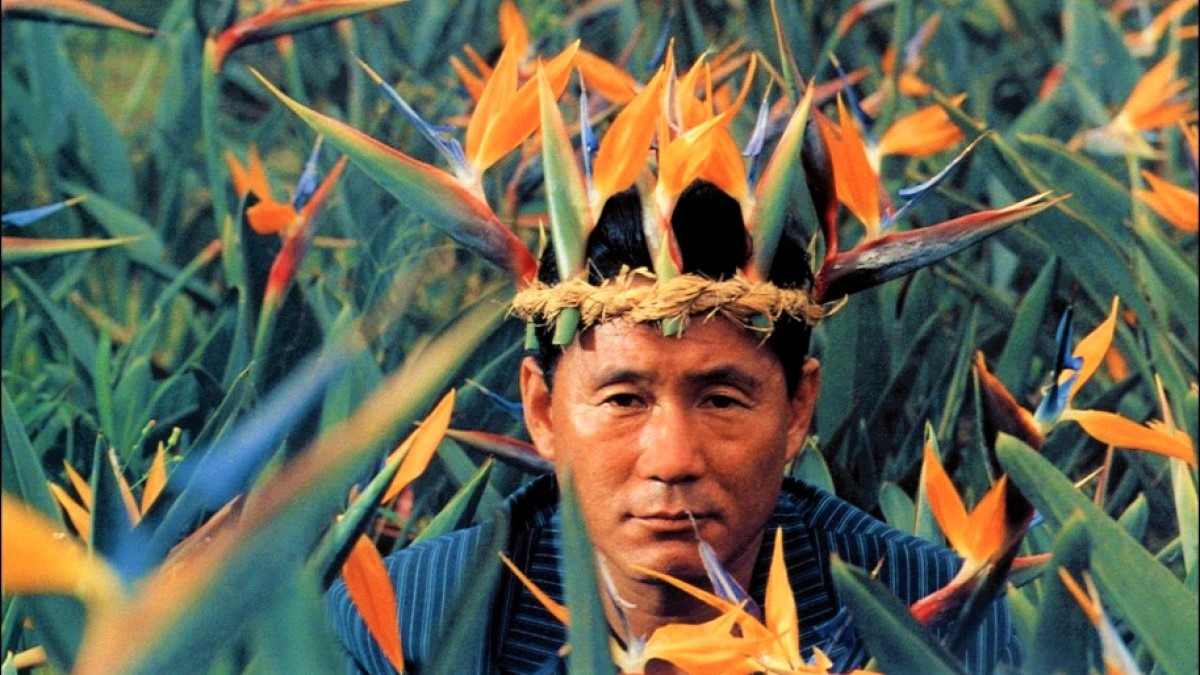 ‎5 Essential Takeshi Kitano Movies, a story by High On Films • Letterboxd