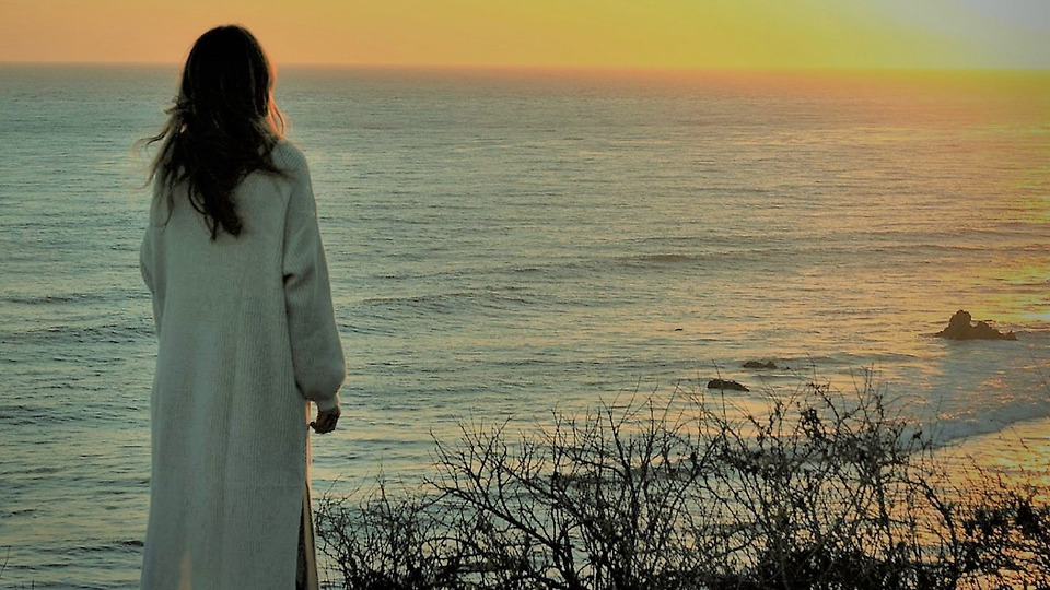 ‎Fiscal Updates: Catching Up with Three of Our Favorite FiSpo Projects