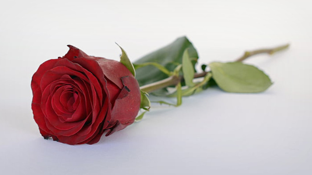 ‎Fiscal Spotlight: Three Valentine Tales Of Love Gone Weird, a story by