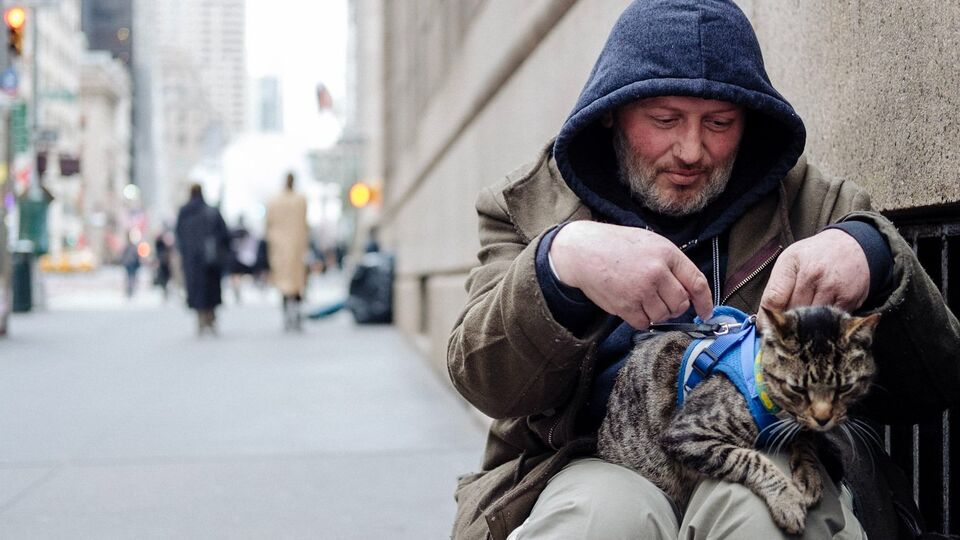 ‎Mye Hoang on Wrangling ‘Cat Daddies’ and Directing Her First Feature