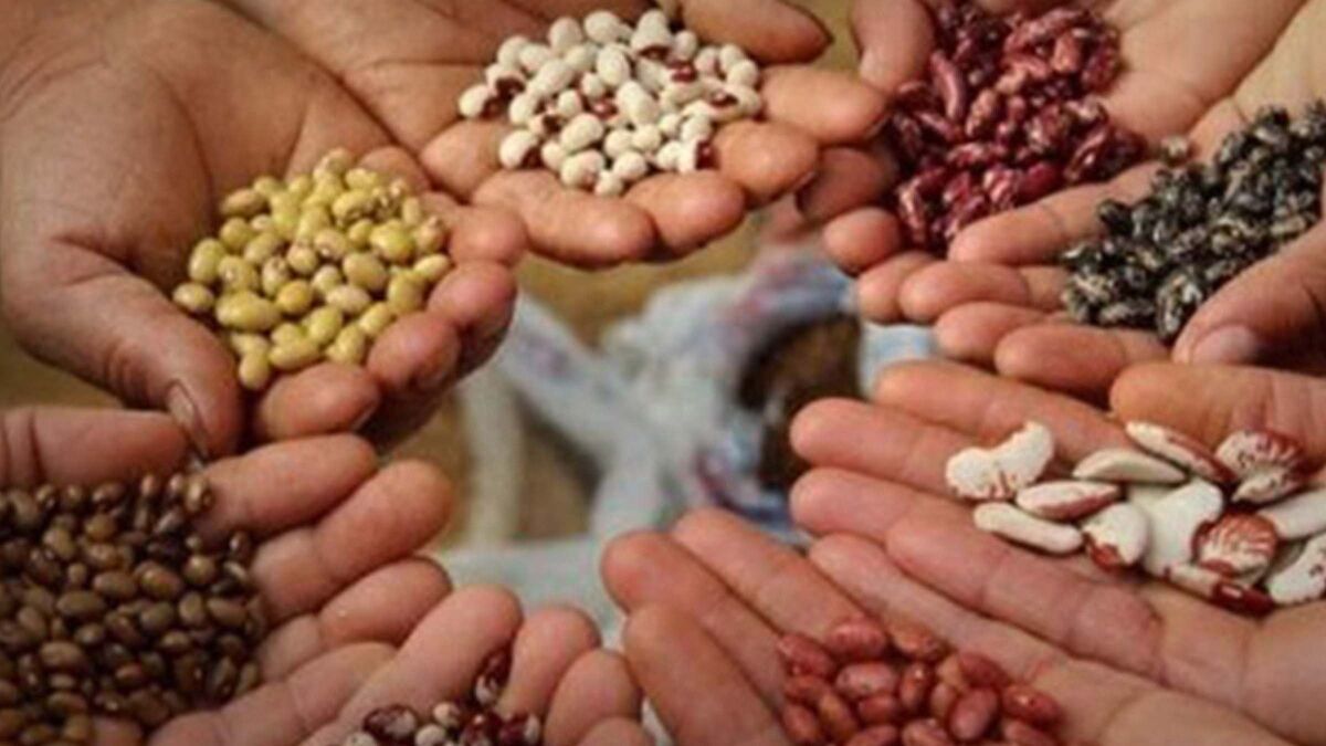 ‎Fiscal Spotlight: Escaping to (and from) America with Three Immigrant